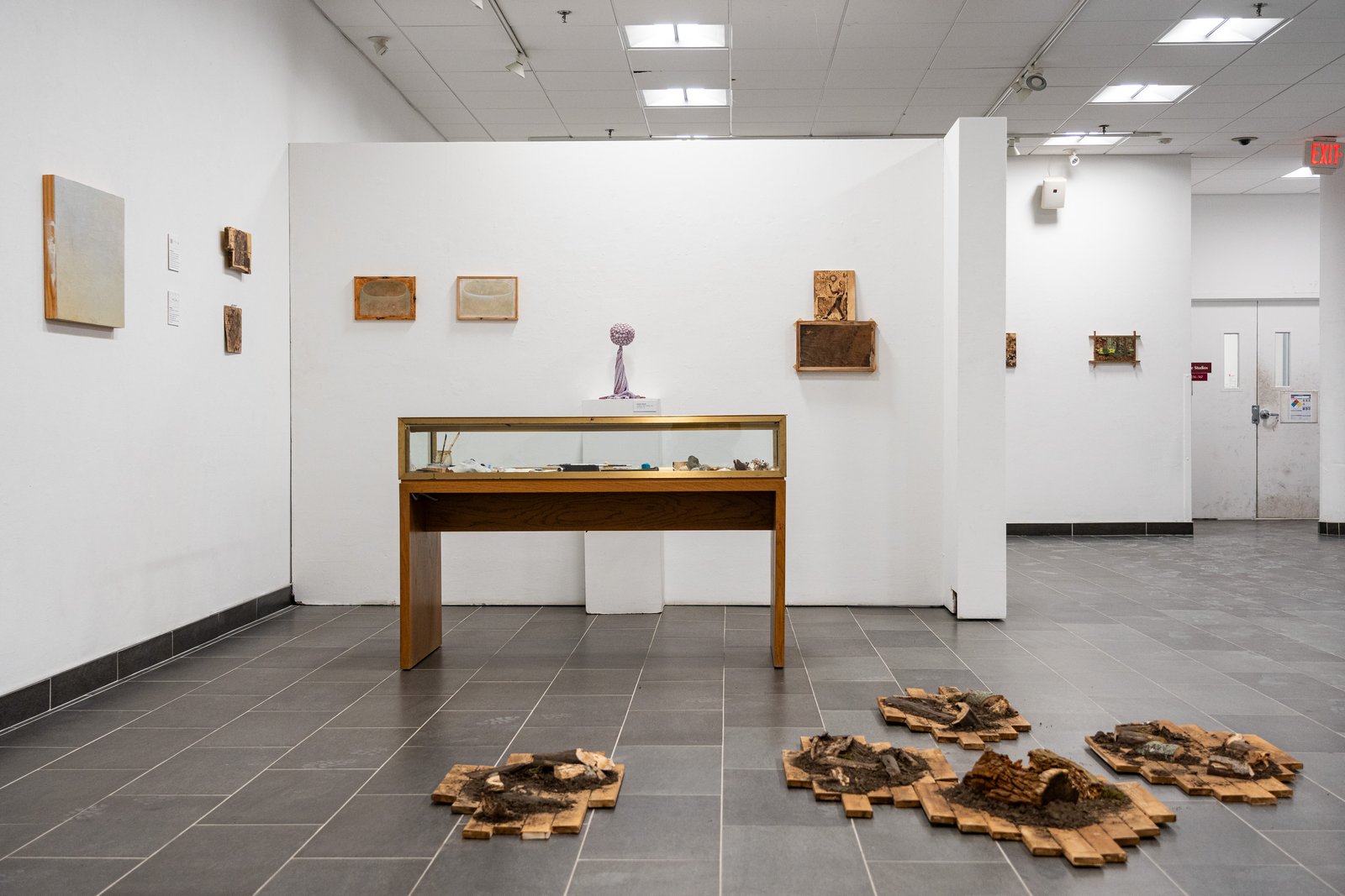 gallery7