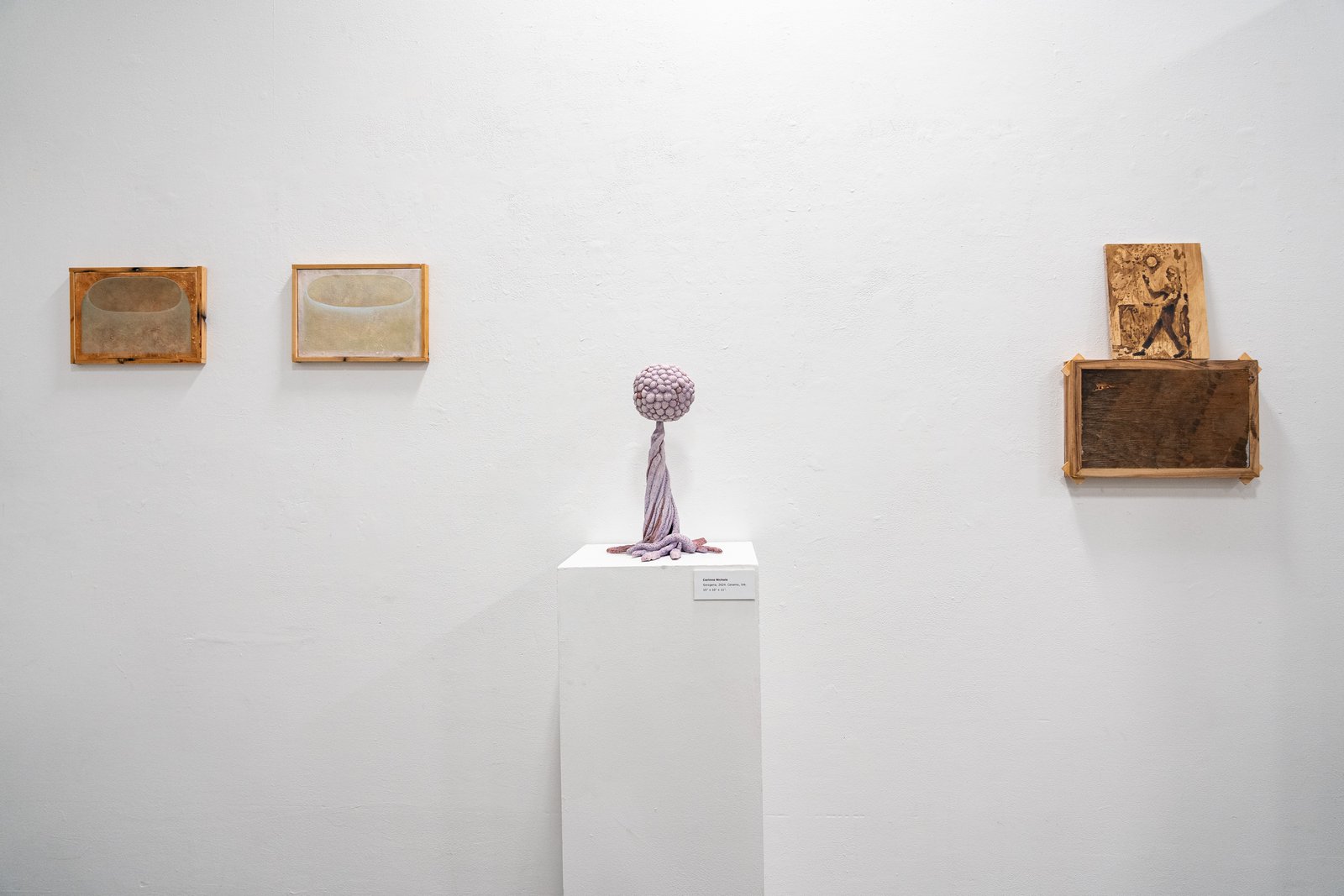 gallery8